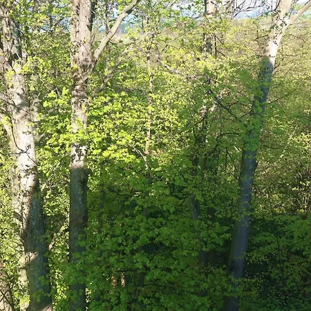 Miedzy Strumykami Appartement *