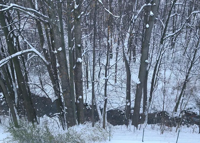 Lejlighed Miedzy Strumykami Karpacz